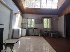 Fotografie z fotogalerie ubytování Sweet Home Near Mtatsminda Park v destinaci Okrokana