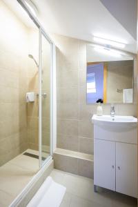 La salle de bains est pourvue d'un lavabo et d'une douche. dans l'établissement Vinatus Pince, à Villány