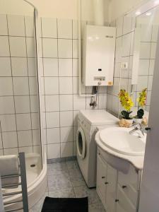 La salle de bains est pourvue d'un lave-linge et d'un lavabo. dans l'établissement 45m2 Buda hillside with panorama & free parking!, à Budapest