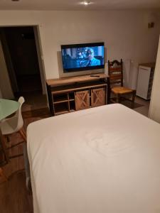 sypialnia z łóżkiem i telewizorem na stole w obiekcie Maison village vignoble avec balnéo w mieście Mailly-Champagne