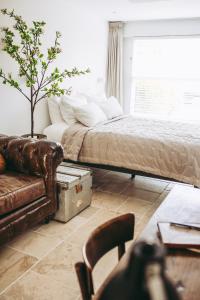 a bedroom with a bed and a couch and a tree at Appartement Oude Winschoterdiep in Groningen