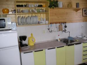 a kitchen with a sink and a refrigerator at Apartment Pavla in Jáchymov +28 photos