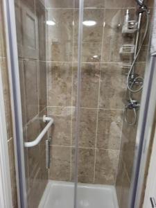 een douche met een glazen deur in de badkamer bij Charming 1-Bed Apartment in Barefield in Ennis