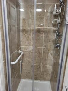 a shower with a glass door in a bathroom at Charming 1-Bed Apartment in Barefield in Ennis