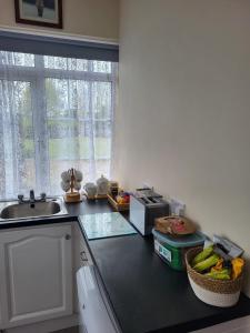 a kitchen with a counter with a sink and a microwave at Charming 1-Bed Apartment in Barefield in Ennis
