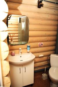 La salle de bains est pourvue d'un lavabo et d'un miroir sur un mur en bois. dans l'établissement Соляний Кристал, à Solotvyno