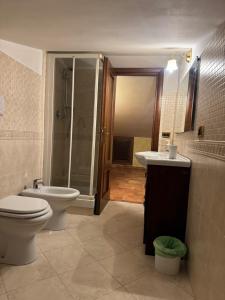 ein Bad mit einem WC, einem Waschbecken und einer Dusche in der Unterkunft Villa Belvedere in Rocca Priora
