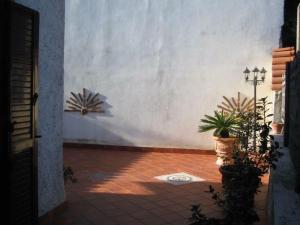 ein Zimmer mit zwei Topfpflanzen und einer Wand in der Unterkunft Villa Belvedere in Rocca Priora