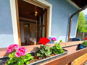 Zahrada ubytování Pension Sydler