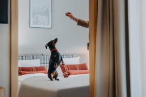 Posteľ alebo postele v izbe v ubytovaní Green Adults + 28 fotografií