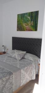 アガエテにあるCasa Faicanのベッドルーム1室(壁に絵が描かれたベッド1台付)