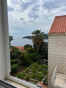 a window with a view of a palm tree and the ocean at Apartments Romano in Dubrovnik