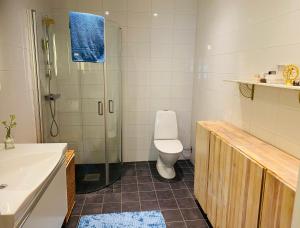 a bathroom with a shower and a toilet and a sink at Ljus och fräsch lägenhet i Ljungskile in Ljungskile