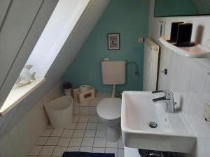 a small bathroom with a toilet and a sink at Ferien zwischen den Meeren in Jübek