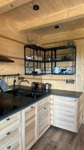 a kitchen with a sink and a wooden wall at Siedlisko Huta Szklana in Bieliny +14 photos