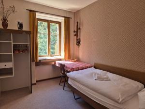 Postel nebo postele na pokoji v ubytování Lötschberg Zentrum