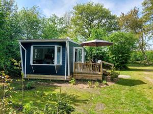 una casita azul con un paraguas en un patio en Erfgoed de Boemerang - Chalet Alpaca, en Meppen