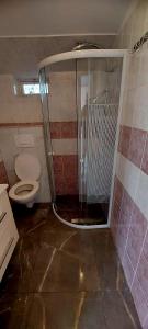 a bathroom with a shower and a toilet at Apartmani Ana in Tribunj
