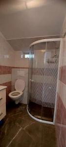 a bathroom with a shower and a toilet in it at Apartmani Ana in Tribunj