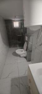 a bathroom with a white toilet in a room at Apartmani Ana in Tribunj