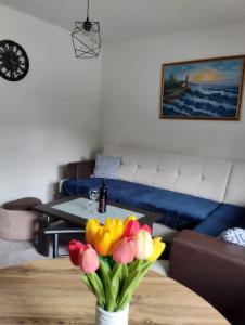 Fotografija u galeriji objekta Apartman Sandra u gradu Jajce