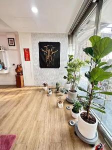 um quarto com vasos de plantas no chão num quarto em Economy Class Hostel em Dayuan