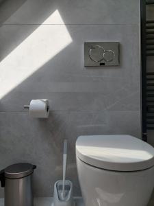 een badkamer met een toilet met de Olympische Spelen aan de muur bij Cozy Home in Heide, Schneverdingen in Schneverdingen