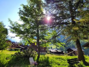 un banco y un árbol en un campo con el sol en Lötschberg, en Kippel