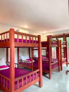 貢布的住宿－竹製簡易別墅度假村，客房设有三张双层床和紫色床单