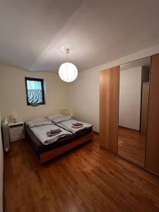 Un dormitorio con una cama y un espejo grande. en Cozy apartment in Vračar +garden, en Belgrado