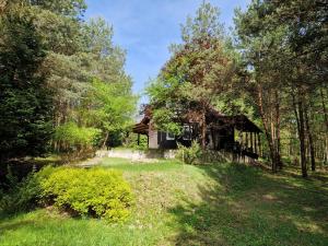 an old house in the middle of a forest at Całkiem Klawa Enklawa in Brzozie