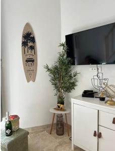 un soggiorno con una pianta in vaso sul muro di Duplex a 2 pas de la vielle ville d Avignon ad Avignone Altre 2 foto