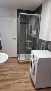 uma máquina de lavar roupa na casa de banho com um chuveiro em Ferienhaus Bühlertal mit 3 Fewos em Bühlertal