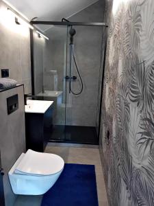 a bathroom with a shower and a toilet and a sink at Apartamenty MAX blisko Energylandia in Ryczów