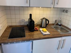 a kitchen counter with a stove and a sink at Business Apartment SPA walk to Fair & Rhine River in Düsseldorf