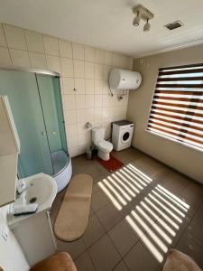 a bathroom with a toilet and a shower and a sink at Red Brick House in Naciūnai