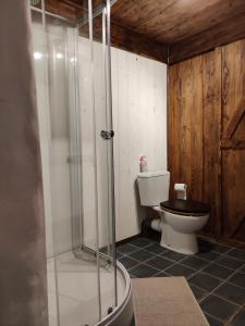 a bathroom with a toilet and a glass shower at Maison Nannings in Seix