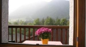 un jarrón de flores sentado en una mesa en un balcón en Schönes Appartement in Tiarno Di Sotto mit Garten, en Tiarno di Sotto