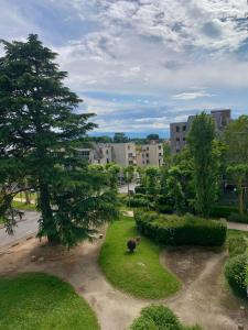 a view of a park with a tree and buildings at Apparemment tout confort in Tarbes