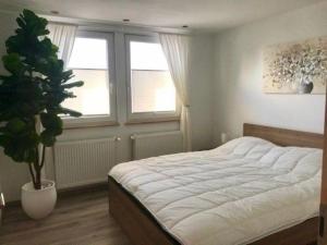 ein Schlafzimmer mit einem großen Bett und einer Topfpflanze in der Unterkunft Ferienhaus für 4 Personen ca 54 m in Wervershoof, Nordholland Ijsselmeer - a81996 in Wervershoof