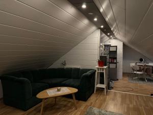 a living room with a green couch and a table at Bjarmaland in Vestmannaeyjar