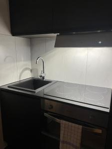 eine Küche mit einer Spüle und einer Arbeitsplatte in der Unterkunft Stilvolle 2,5 Zimmer Wohnung in St. Gallen