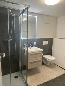 Kylpyhuone majoituspaikassa Stilvolle 2,5 Zimmer Wohnung