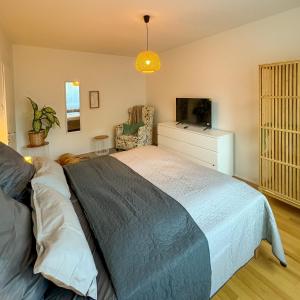 1 dormitorio con 1 cama grande y TV en revLIVING Kaiser Franz Septima Altstadt Apartment Baden, en Baden