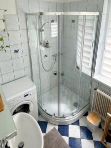 y baño con ducha, aseo y lavamanos. en revLIVING Kaiser Franz Septima Altstadt Apartment Baden, en Baden