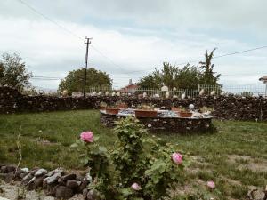un jardin avec des roses roses et une clôture en pierre dans l'établissement ULAŞ CAVE HOTEL, à Ürgüp