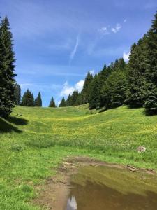 einen grasbewachsenen Hügel mit einem Teich auf einem Feld in der Unterkunft Ferienhaus in Pieve Di Bono mit Grill, Garten und Sauna in Pieve di Bono