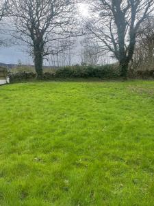 um campo de relva verde com duas árvores nele em Chalet with sea views em Ballyshannon