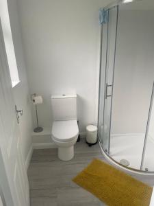 uma casa de banho com um WC e uma cabina de duche em vidro. em Chalet with sea views em Ballyshannon