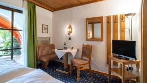 TV a/nebo společenská místnost v ubytování Hotel Alpina